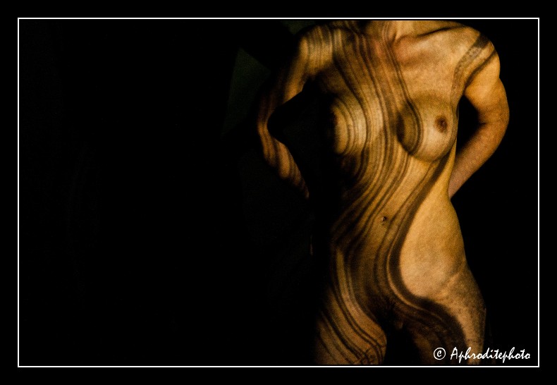 006 Symphonie curviligne